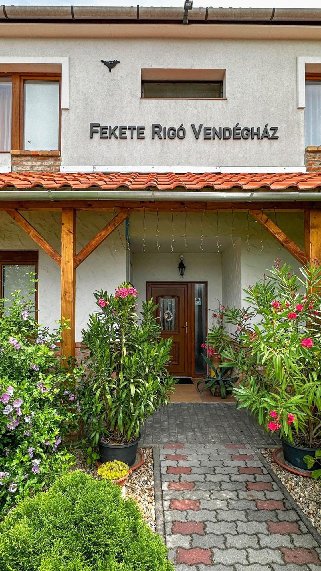 Fekete Rigó Vendégház Egerszalók Extérieur photo